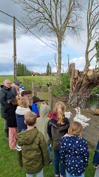 Aapjes op de boerderij_15