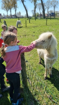 Boerderijklassen 2022 deel1_286