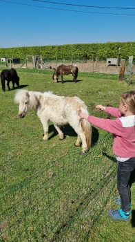 Boerderijklassen 2022 deel1_288