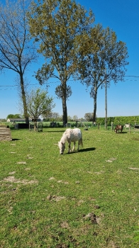 Boerderijklassen 2022 deel1_292