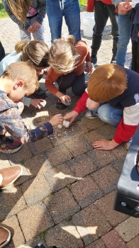 Boerderijklassen 2022 deel1_331