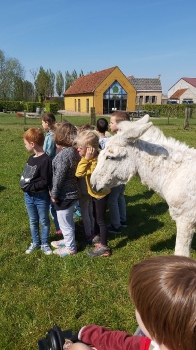 Boerderijklassen 2022 deel1_77