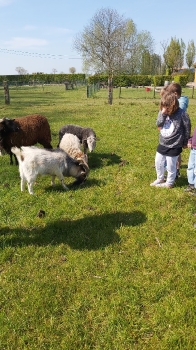 Boerderijklassen 2022 deel1_79