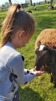 Boerderijklassen 2022 deel1_80