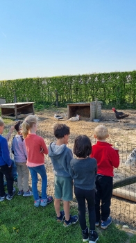 Boerderijklassen 2022 deel1_97