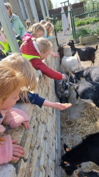 Boerderijklassen 2022 deel2_134