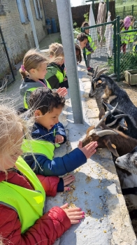 Boerderijklassen 2022 deel2_137