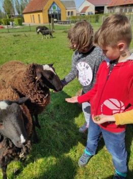 Boerderijklassen 2022 deel2_205