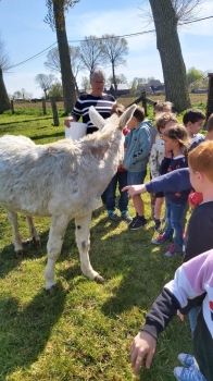 Boerderijklassen 2022 deel2_238