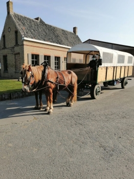 Boerderijklassen 2022 deel2_316