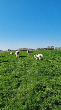 Boerderijklassen 2022 deel2_72