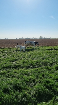 Boerderijklassen 2022