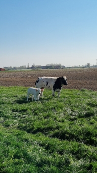 Boerderijklassen 2022