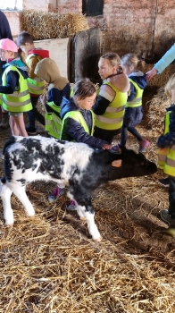 Boerderijklassen 2022 deel2_85