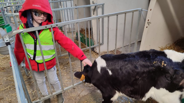 Hupjes op de boerderij