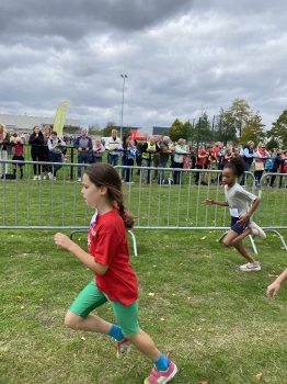 Loopcross Zwevegem