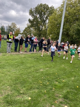 Loopcross Zwevegem