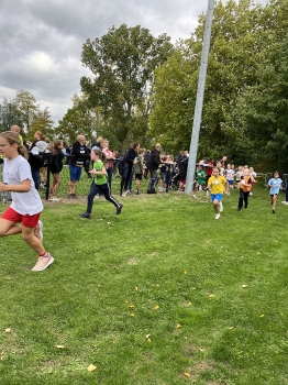 Loopcross Zwevegem