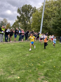 Loopcross Zwevegem