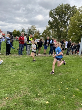 Loopcross Zwevegem