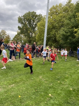 Loopcross Zwevegem