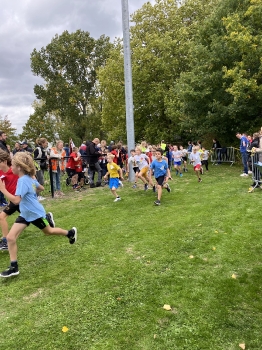 Loopcross Zwevegem