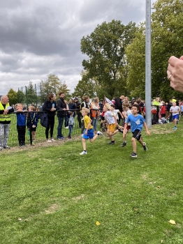 Loopcross Zwevegem