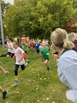 Loopcross Zwevegem