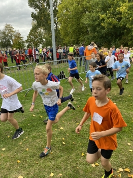 Loopcross Zwevegem