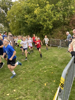 Loopcross Zwevegem