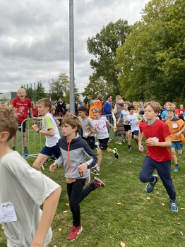 Loopcross Zwevegem