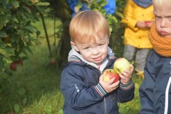 Naar de appelboerderij Hof 't klokhuis