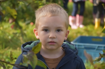 Naar de appelboerderij Hof 't klokhuis