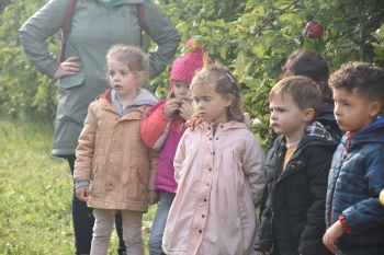 Naar de appelboerderij Hof 't klokhuis