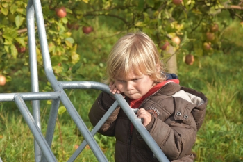 Naar de appelboerderij Hof 't klokhuis