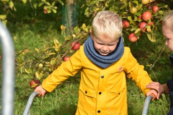 Naar de appelboerderij Hof 't klokhuis