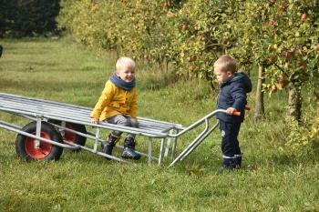 Naar de appelboerderij Hof 't klokhuis