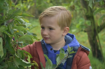 Naar de appelboerderij Hof 't klokhuis