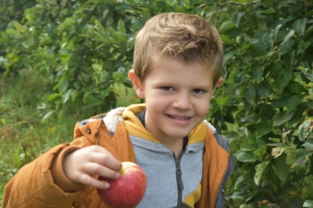 Naar de appelboerderij Hof 't klokhuis