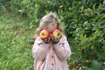 Naar de appelboerderij Hof 't klokhuis