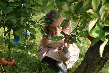 Naar de appelboerderij Hof 't klokhuis