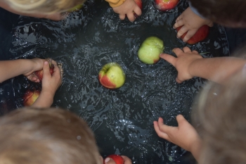 Naar de appelboerderij Hof 't klokhuis