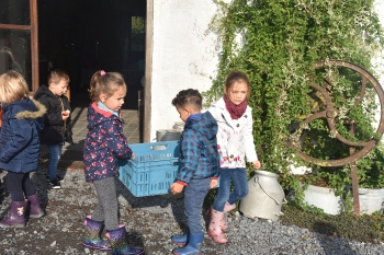 Naar de appelboerderij Hof 't klokhuis