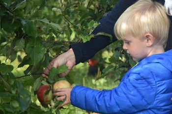 Naar de appelboerderij Hof 't klokhuis