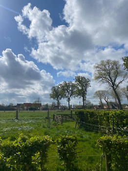 Samen op de boerderij