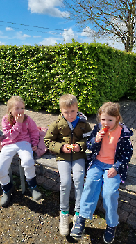 samen op de boerderij_4