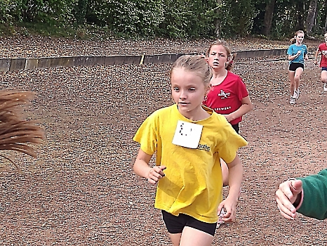 Scholencross Don Bosco en Wevelgem