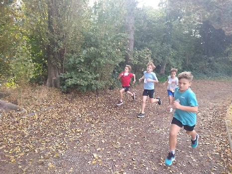 Scholencross Don Bosco en Wevelgem