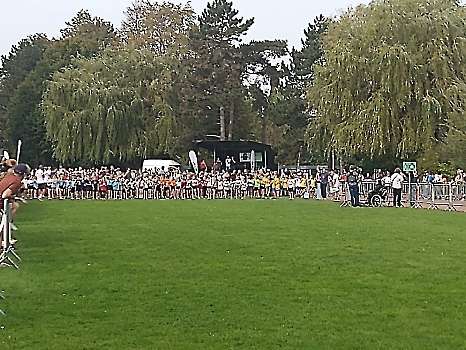 Scholencross Don Bosco en Wevelgem
