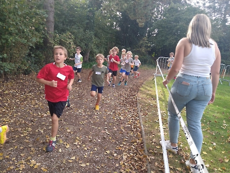 Scholencross Don Bosco en Wevelgem